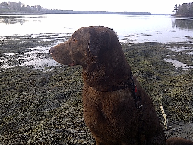tucker-redman